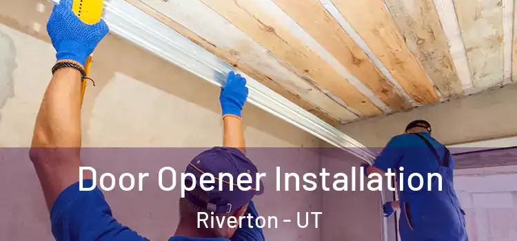 Door Opener Installation Riverton - UT