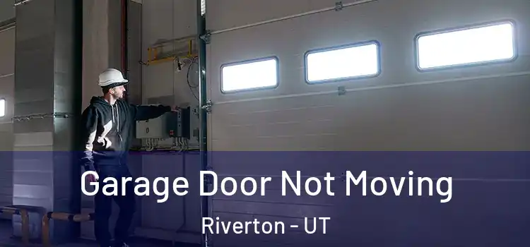  Garage Door Not Moving Riverton - UT