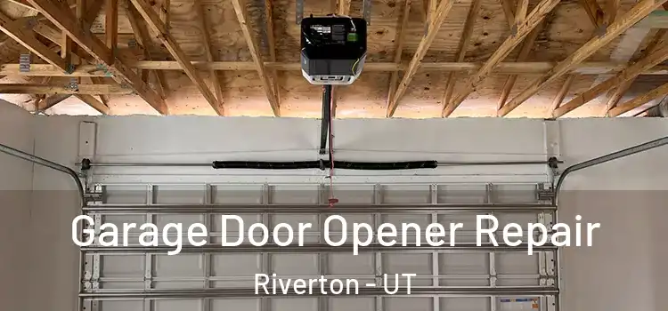  Garage Door Opener Repair Riverton - UT