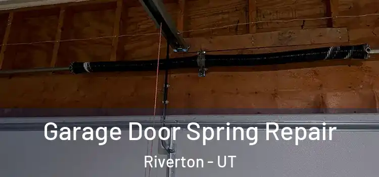  Garage Door Spring Repair Riverton - UT