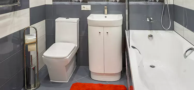 Hansgrohe Shaving Mirror Riverton
